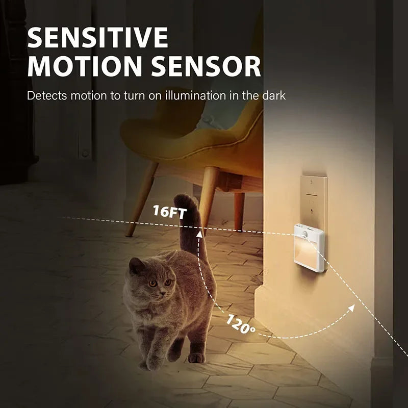 Motion Sensor Night